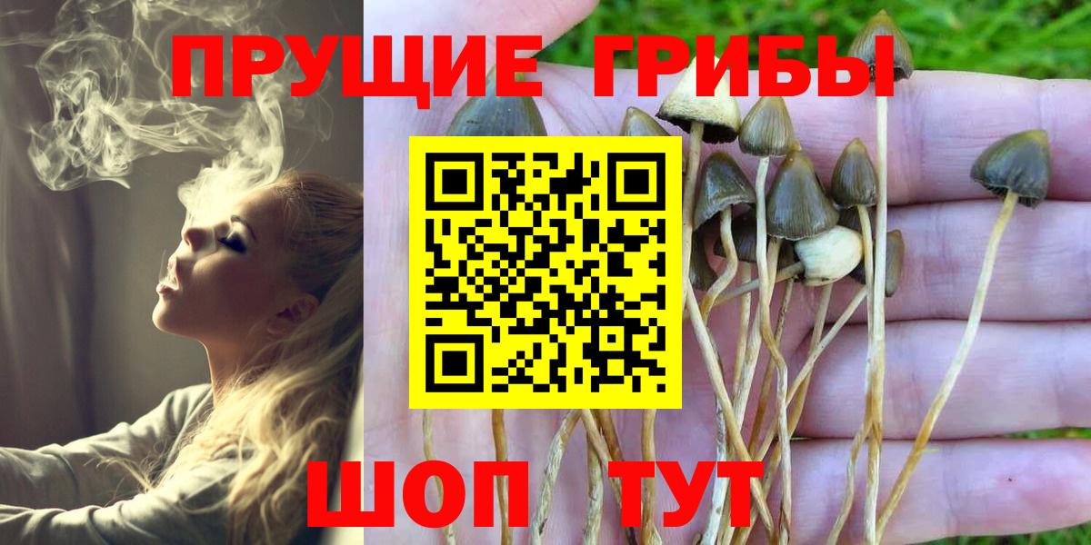 Кулебаки  как найти закладки  Галлюциногенные грибы ЛСД  Вход с VPN  Галлюциногенные грибы Psilocybe 