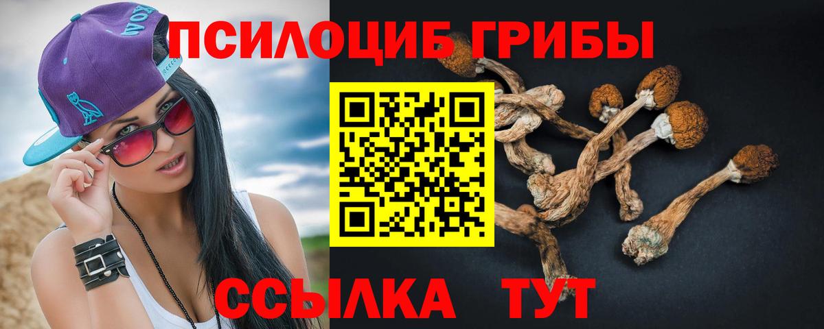 Псилоцибиновые грибы прущие грибы Кулебаки